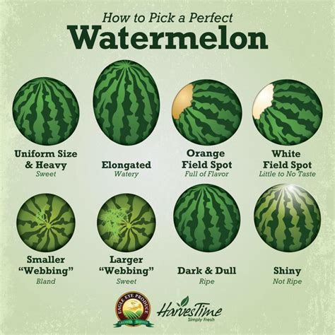 How do you know when a watermelon is at its best? How to Pick a Perfect Watermelon | Eagle Eye Produce