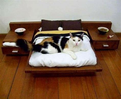 Japanese Cat Bed Oh Brother But Its So Cool Modern Cat Bed