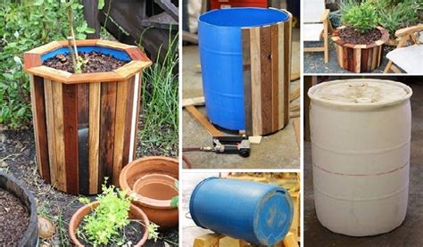 Diy Low Cost 55 Gallon Drum Planters Home Design Garden