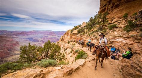 Bryce Canyon Horseback Ride In Southern Utah Book Tours And Activities