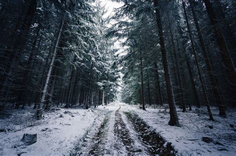 Johannes Hulsch Forest Winter Snow Trees Road Norway 1080p Wallpaper