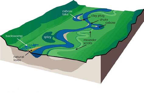 Diagram Showing The Formation Of An Oxbow Lake On A Floodplain Figure