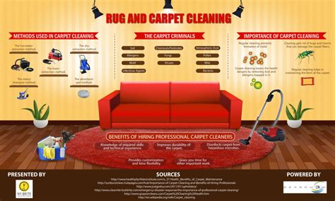 Carpet Cleaning Methods And Importance Infographic Carpet Cleaning