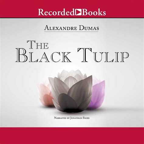 The Black Tulip Audiobook By Alexandre Dumas