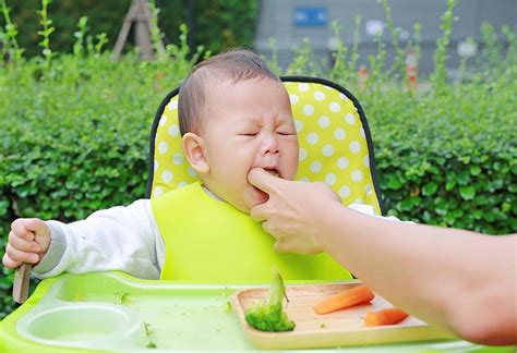 Many parents see what looks like a lot of spit up and wonder if their baby is getting. PetMd: Baby Throwing Up Clear Yellow Liquid