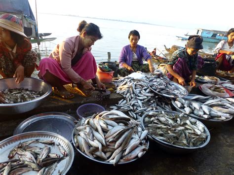 Local Fish Market In Ayeyarwady Delta Myanmar Photo By J Flickr