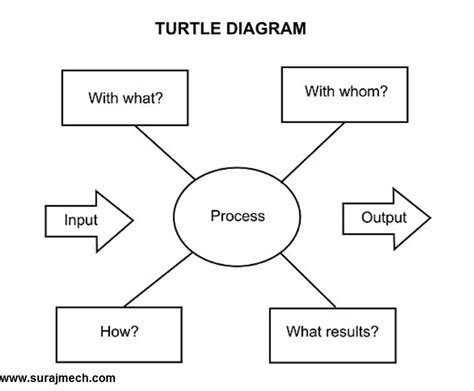 Turtle Diagram Template Printable Word Searches