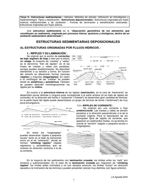 Estructuras Sedimentarias Deposicionales Tipos Formación Y Utilización En Estratigrafía Y