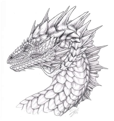 Just A Dragon Profile Shaded By Bravebabysitter On Deviantart