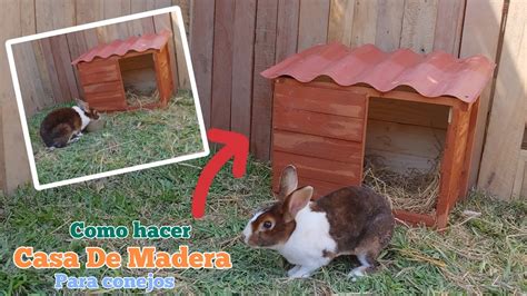 Como Hacer Una Casa Para Conejos I Madriguera Para Conejos Youtube