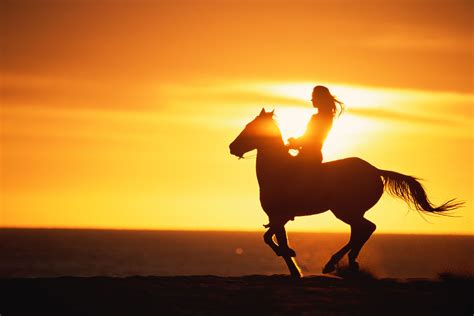 Silhouette Of Woman Riding Horse At Sunset Woman Riding Horse Horse