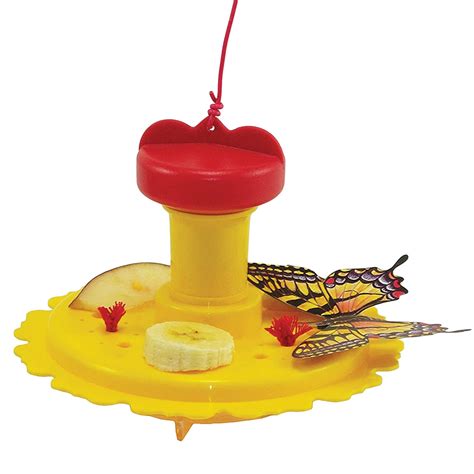 Butterfly Feeder What On Earth