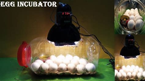 How To Make An Egg Incubator At Home Diy Homemade Egg Incubator For Chicken Eggs Youtube