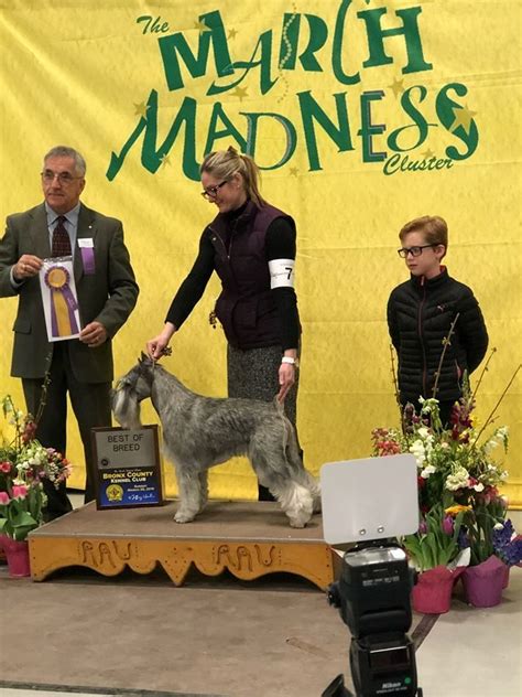 (11) 4.7 out of 5 stars. Pin by Brandy Penna on Show Grooming | Dog training near ...