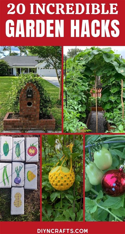 20 best gardening hacks for a spectacular harvest tasteandcraze