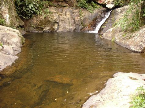 Trilhas E Pedais Parque Natural Municipal De Nova Iguaçu Pnmni