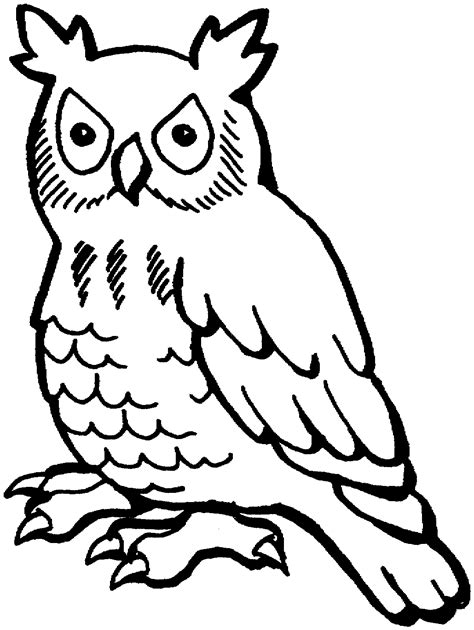 Even though all this time you have done so several times, it does not mean that it cannot be changed or corrected again. Free Owl Coloring Pages