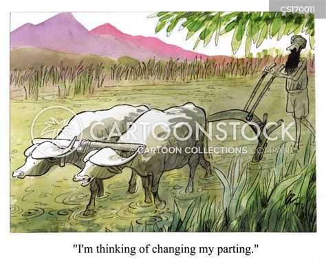 Oxen Cartoons And Comics Funny Pictures From Cartoonstock