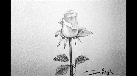 How To Draw A Realistic Rose Step By Step With Pencil