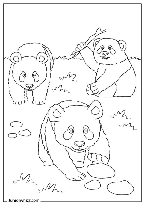 Panda Bear Coloring Pages And Book 12 Printable Pdfs