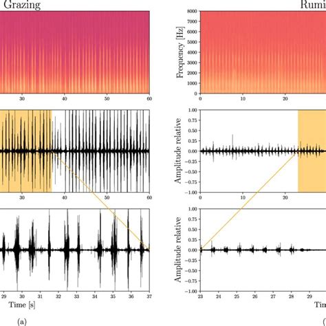 Spectrogram And Waveform With Zoom Of Foraging Audio Signals