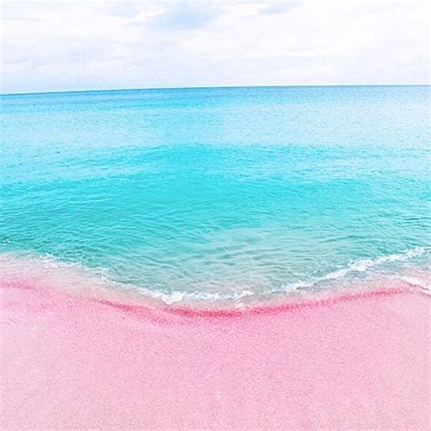 Pink Sand Beach Bahamas Places To Travel Vacation Spots Places To Go