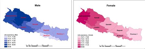 Life Expectancy At Birth By Provinces And Sex Nepal 2017 Download Scientific Diagram