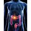 Colon Cancer Early Detection Is The Best Protection • Sentara RMH Magazine