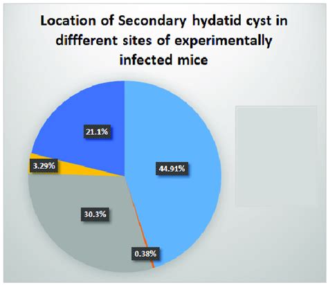 Distribution Of Secondary Hydatid Cysts On The Internal Organs Of The