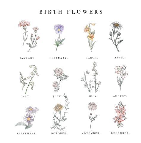 Initial Birth Flower Prints Etsy