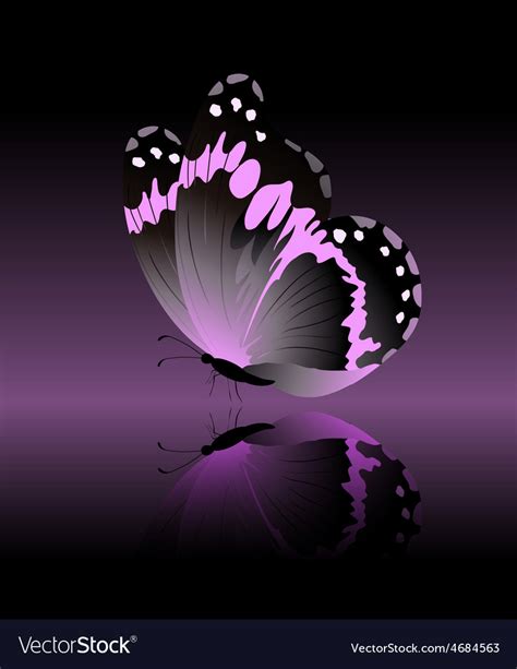 Bright Pink Butterfly Isolated On Black Background