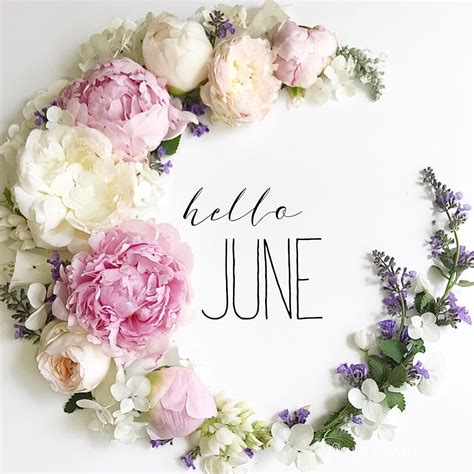 Month Flower June Flower Information