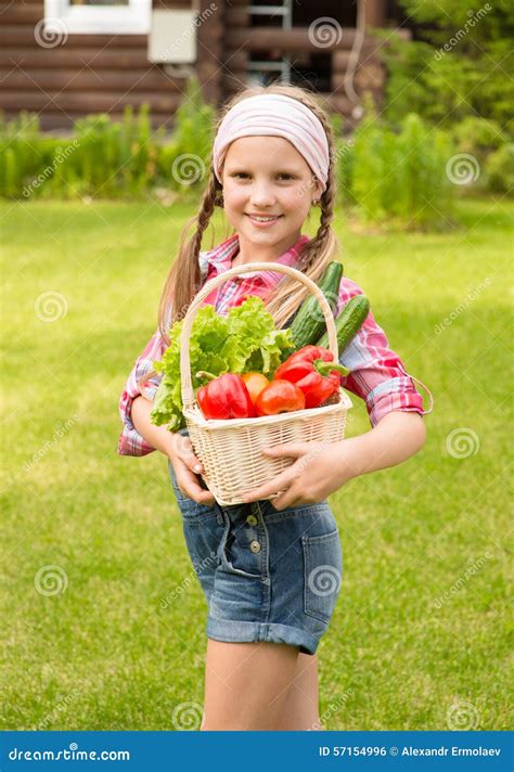 Młoda Dziewczyna Z Warzywami W Koszu Zdjęcie Stock Obraz Złożonej Z Femaleness Jesienny 57154996