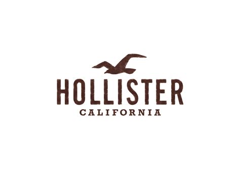 Hollister Co Career Page