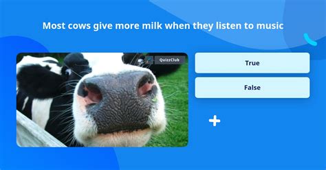 Most Cows Give More Milk When They Trivia Questions Quizzclub