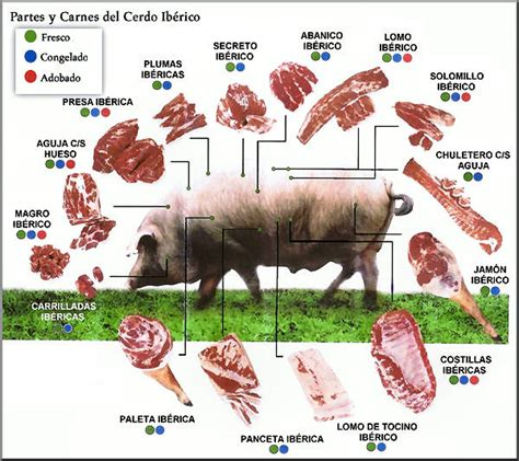 Despieces Cortes Y Carnes Del Cerdo Casa Rural En Extremadura