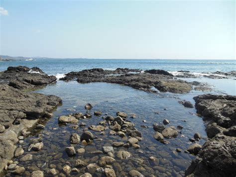 Las Baulas National Marine Park Playa Grande All You Need To Know