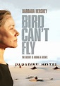 Watch The Bird Can't Fly (2007) Full Movie Free Online Streaming | Tubi