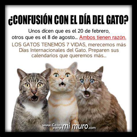 El 20 de febrero es una de las fechas y se asignó como el día internacional del gato. Imágenes Feliz Día del Gato 2021 ⭐【 DESCARGAR IMAGENES 2021