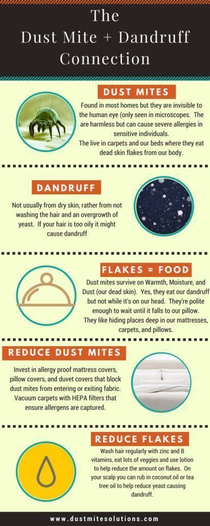 Do Dust Mites Eat Dandruff Dust Mites Dandruff Dry Skin Eczema