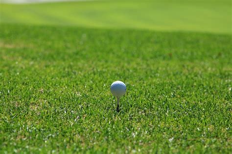 Golf Course Grass Free Photo On Pixabay
