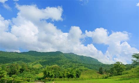 Beautiful Mountain Landscape With Mountain Forest And Blue Sky In