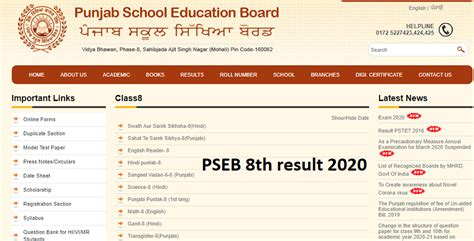 Punjab Board 8th Class Result 2023 8th Class Result 2023