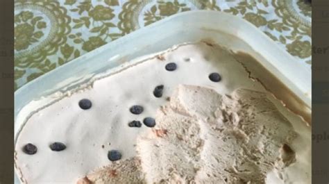 Volume yang membuat es krim menjadi lebih ringan, tidak terlalu padat dan mempunyai tekstur yang lembut (padaga, 2005). Cara Membuat Es Krim Milo yang Padat dan Lembut di Lidah ...