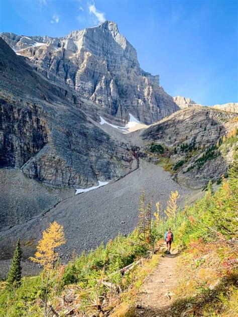 20 Amazing Larch Hikes In Alberta Travel Banff Canada