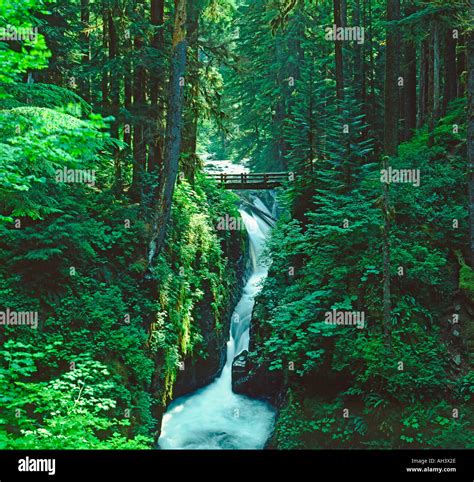 Sol Duc Falls Crescent Lake Washington State Usa Stock Photo Alamy