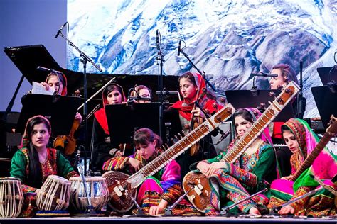 Gallery — Afghanistan National Institute Of Music Anim