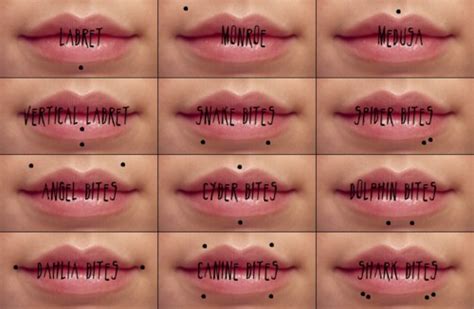 14 Lip Piercing Types Explained Jewelry Inspiration Guide