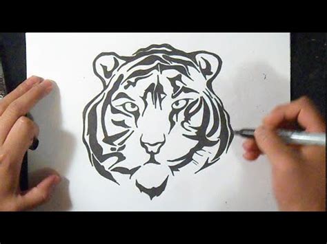 Come Disegnare Tigre Youtube