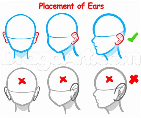 How To Draw Ears For Beginners Step By Step Ears People Free Online